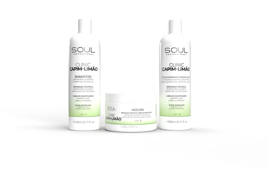 Soul Clinic Lemongrass Complete Kit – Protein Renewal Ritual