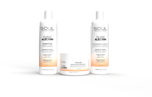 Soul Professional Clinic Alecrim – Rosemary Haircare Trio Step-by-step hydration for dry, tired hair